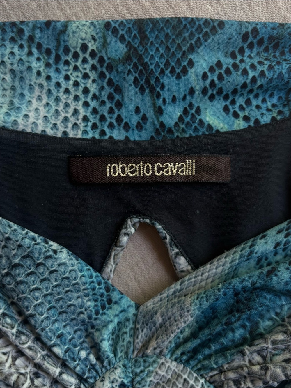 Roberto Cavalli Blue and Teal Snake-Print Evening Dress - Picture 6 of 11